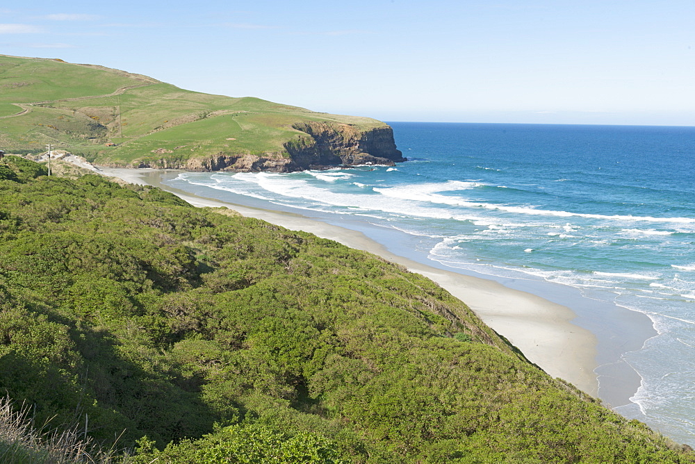 Beach, Otago Peninsula, Otago, South Island, New Zealand, Pacific