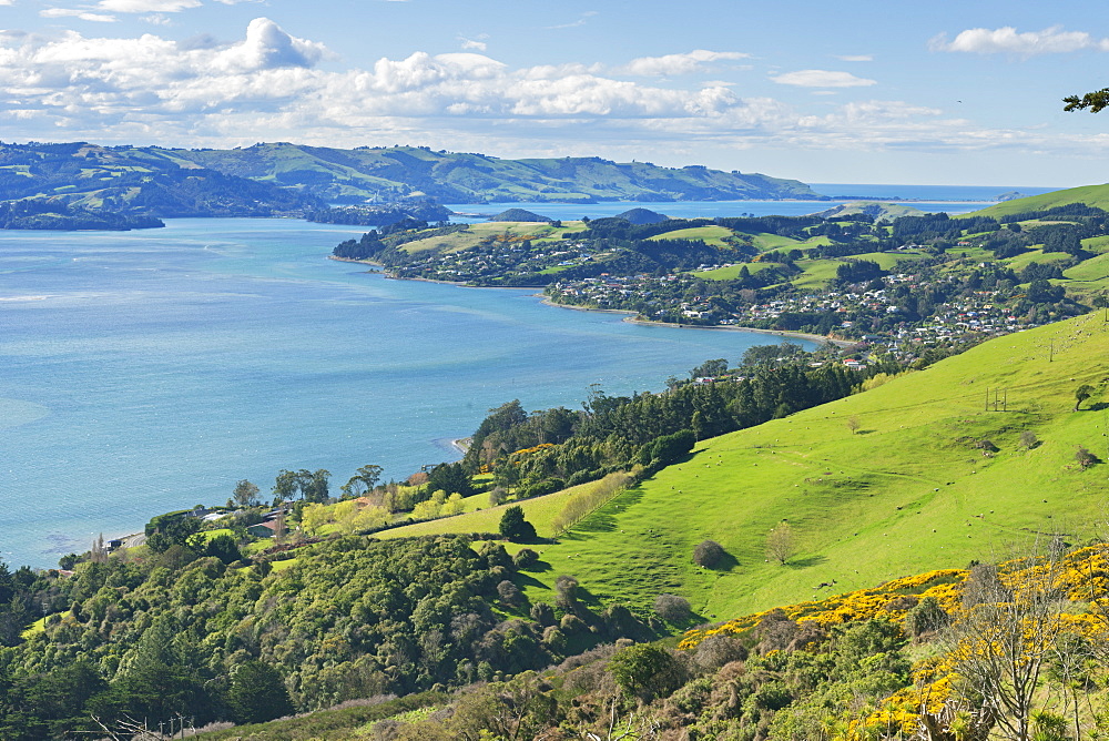 Otago Peninsula, Otago, South Island, New Zealand, Pacific