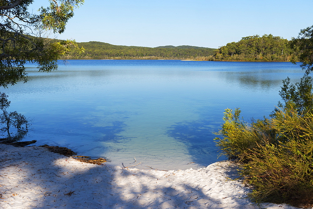 McKenzie Lake, Fraser Island, UNESCO World Heritage Site, Queensland, Australia, Pacific