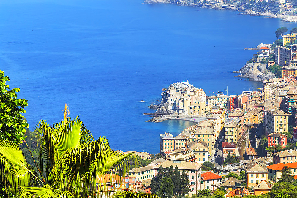 Elevated view of Camogli and Gulf of Paradise, Camogli, Riviera di Levante, Liguria, Italy, Europe