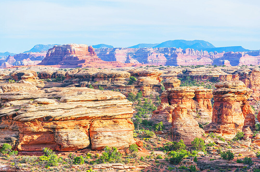 Rock formations, Chesler Park, The Needles district, Canyonlands National Park, Utah, United States of America, North America