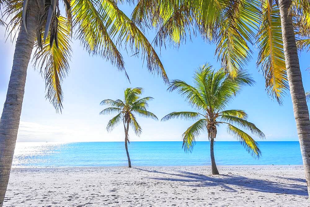 Smathers Beach, Key West, Florida, United States of America, North America