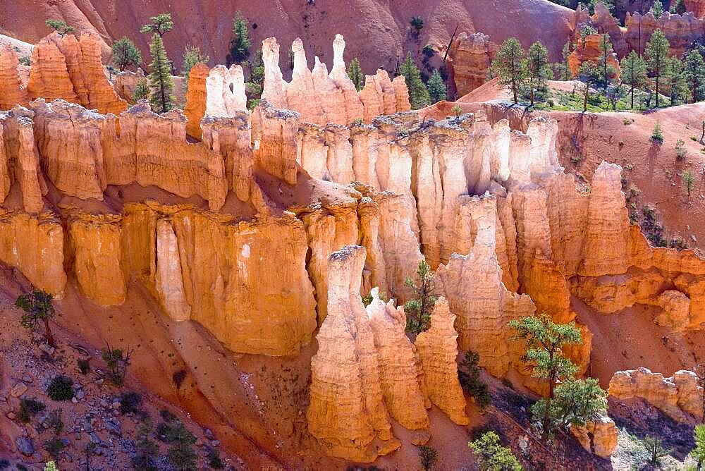 Bryce Canyon, Bryce Canyon National Park, Utah, United States of America, North America