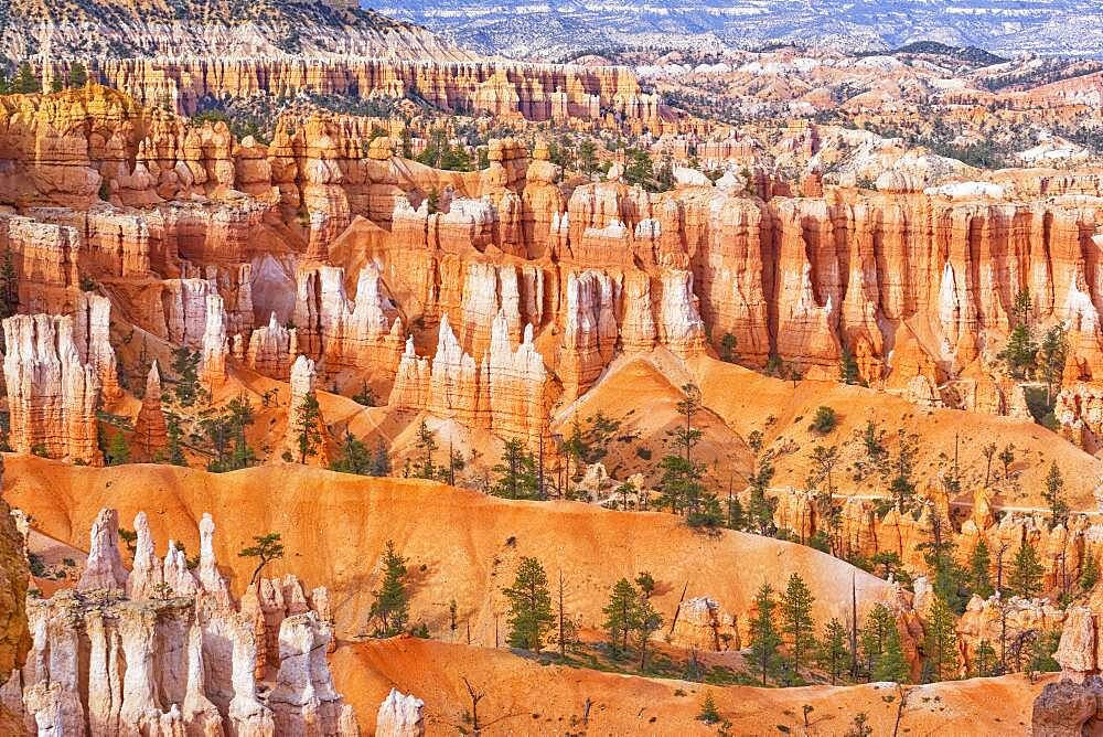 Sandstone formations, Bryce Canyon, Bryce Canyon National Park, Utah, United States of America, North America