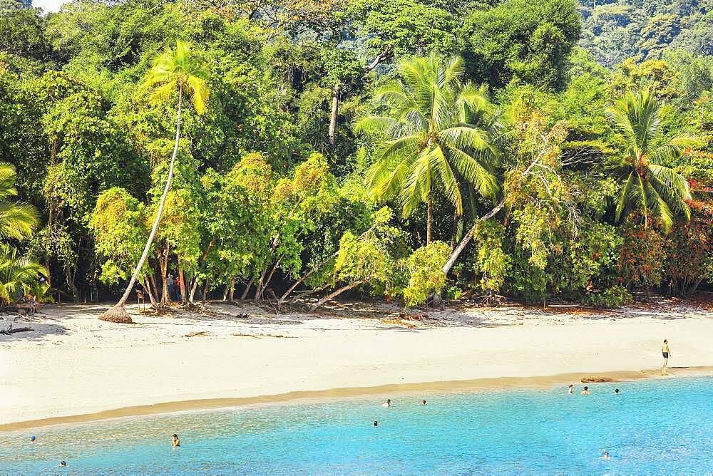 Tropical beach, Manuel Antonio National Park, Quepos, Costa Rica, Central America