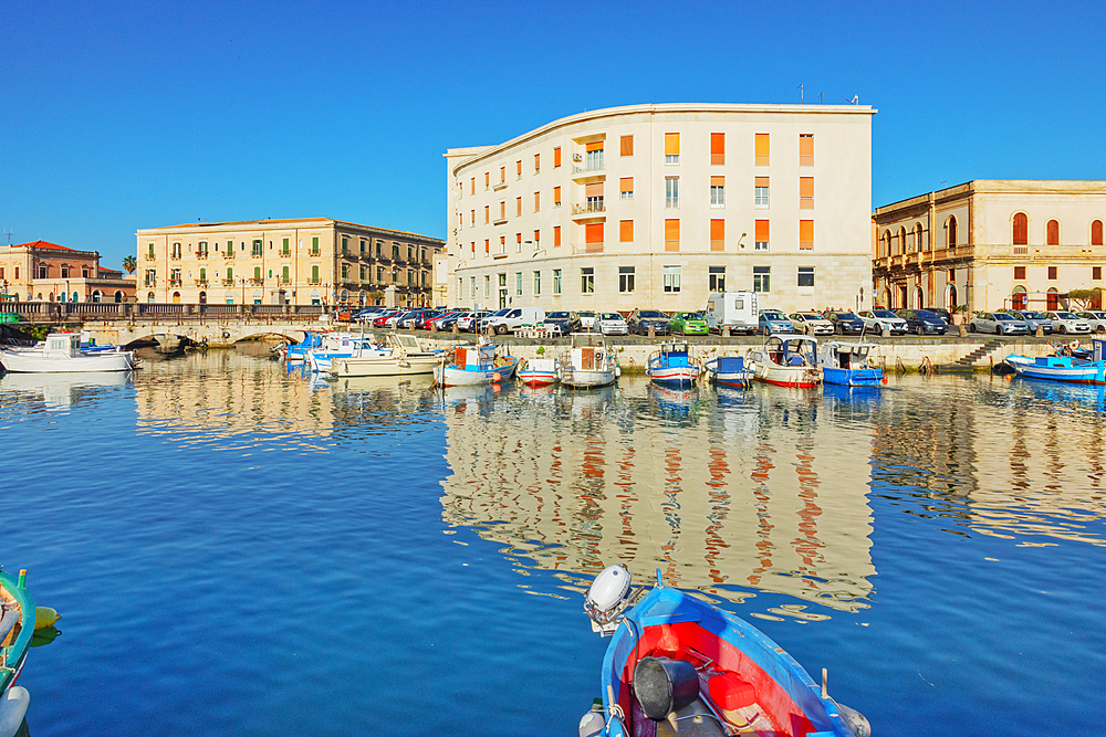 Ortygia marina, Ortygia, Syracuse, Sicily, Italy, Mediterranean, Europe