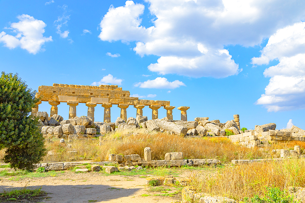 Temple of Apollo (Temple C), Selinunte Archaeological Park, Selinunte, Trapani district, Sicily, Italy, Mediterranean, Europe