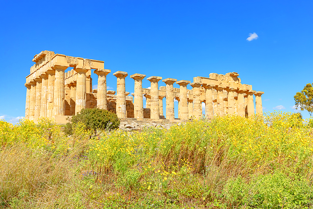 Temple of Hera (Temple E), Selinunte Archaeological Park, Selinunte, Trapani district, Sicily, Italy, Mediterranean, Europe