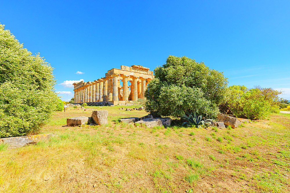 Temple of Hera (Temple E), Selinunte Archaeological Park, Selinunte, Trapani district, Sicily, Italy, Mediterranean, Europe