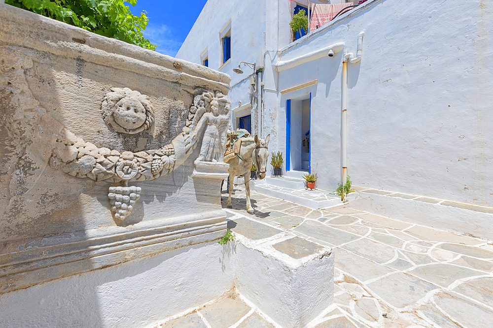 Mule walking through Kastro village street, Kastro, Sifnos Island, Cyclades, Greek Islands, Greece, Europe