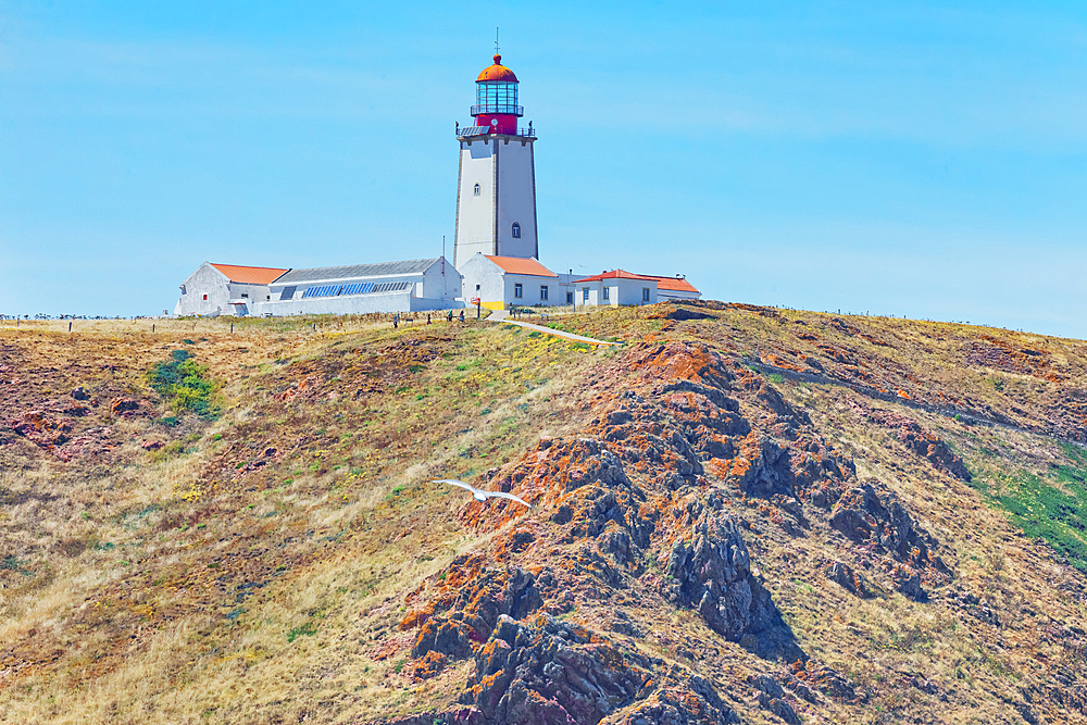 Lighthouse, Berlenga Grande Island, Portugal, Europe