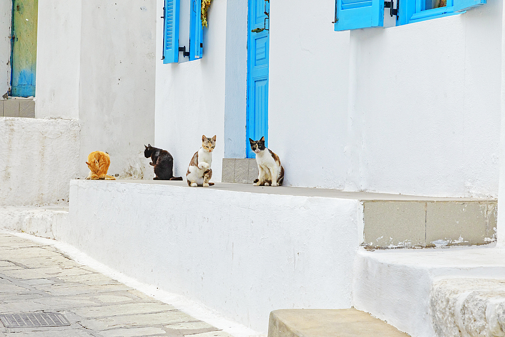 Old town street, Mandraki, Nisyros Island, Dodecanese Islands, Greece