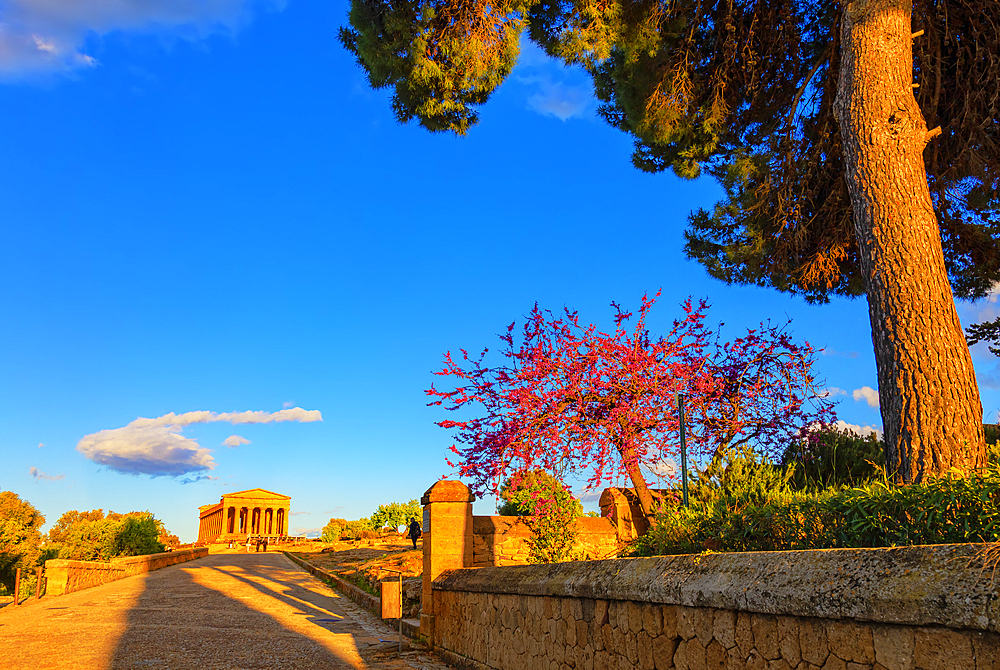 Temple of Concordia, Valley of Temples, Agrigento, Sicily, Italy