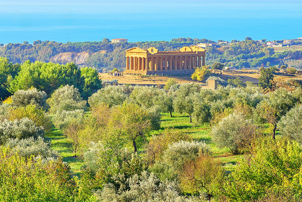 Concordia temple, Valley of Temples, Agrigento, Sicily, Italy