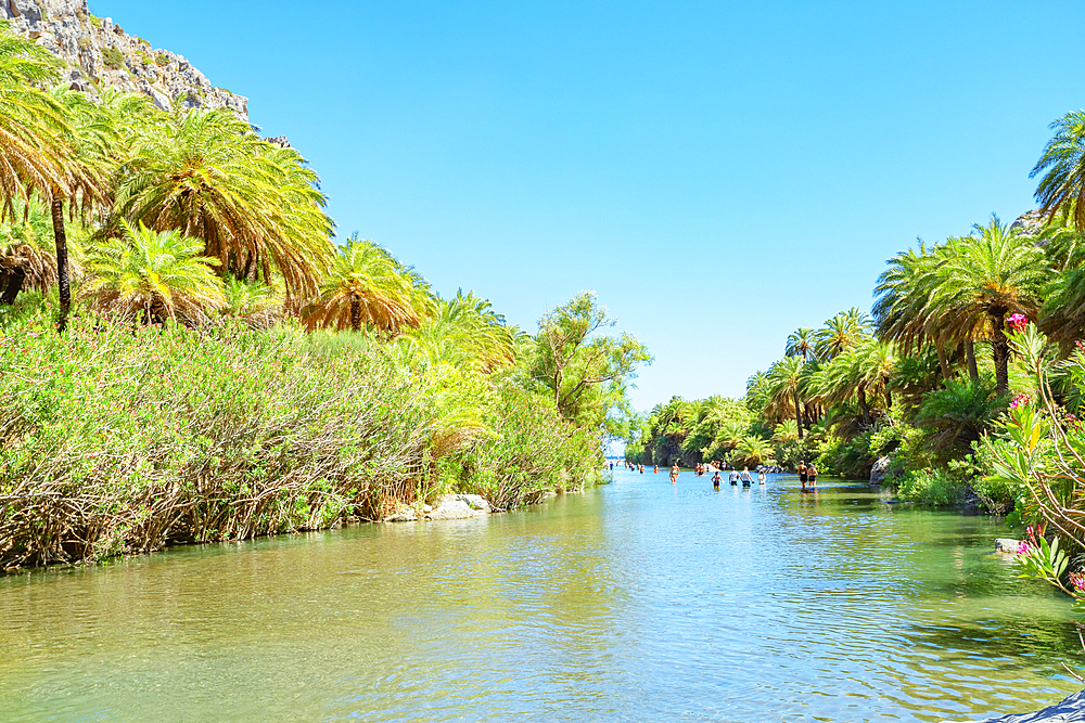 View of River Megalopotamos and Preveli palm forest, Rethymno, Crete, Greek Islands, Greece