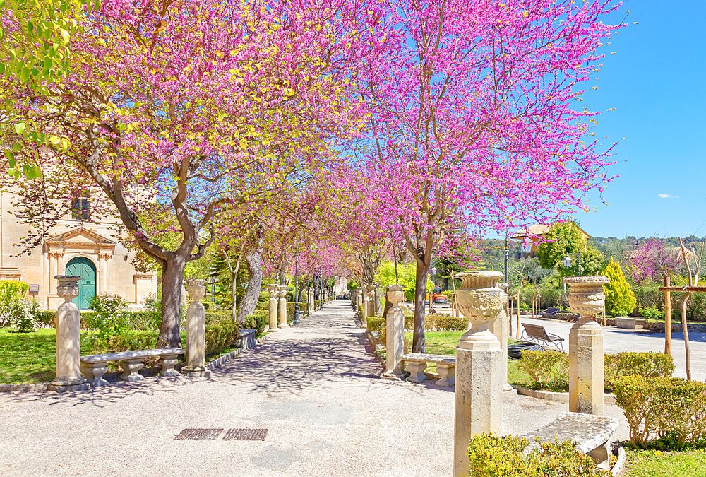 Giardino ibleo, Ragusa Ibla, Ragusa province, Sicily, Italy