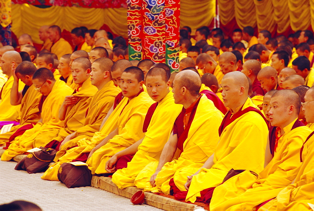 Monks sitting together inside Kargyupa gompa (monastery), Bodhnath, Katmandu, Nepal