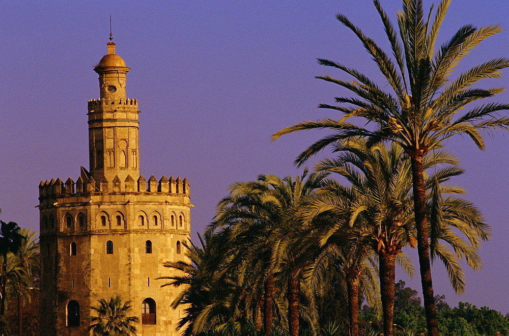 Torre del Oro and palm trees, Seville (Sevilla), Andalucia (Andalusia), Spain, Europe