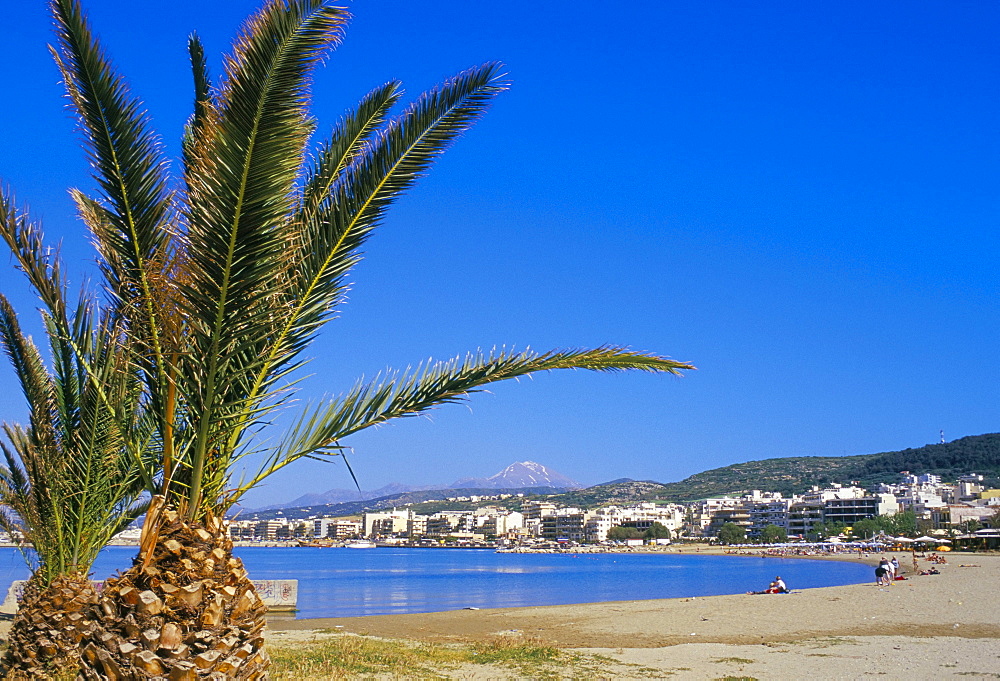 Palm tree and Rethymo beach, Rethymno (Rethymnon), island of Crete, Greece, Mediterranean, Europe