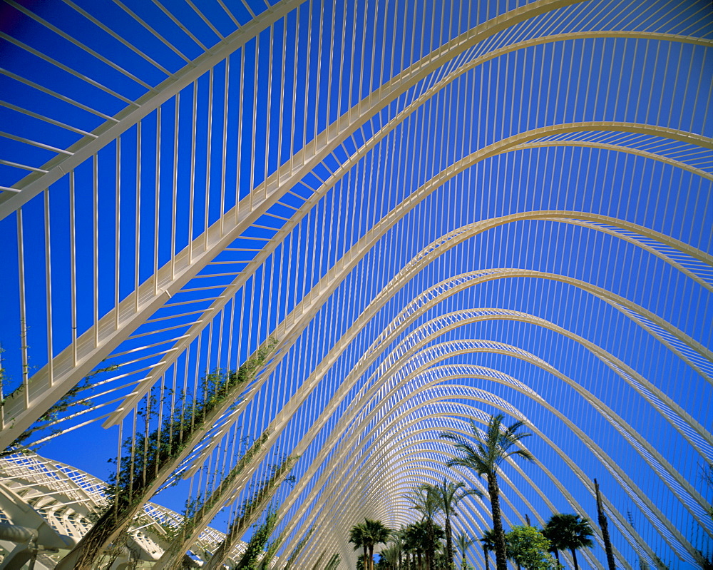 Umbracle, City of Arts and Sciences, architect Santiago Calatrava, Valencia, Spain, Europe