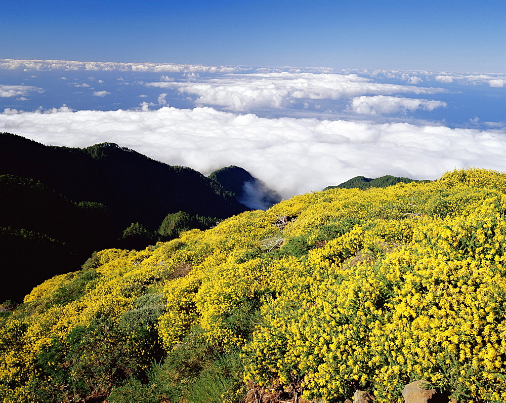 Landscape and clouds near Roque de los Muchachos, Parque Nacional de la Caldera de Taburiente, La Palma, Canary Islands, Spain, Europe