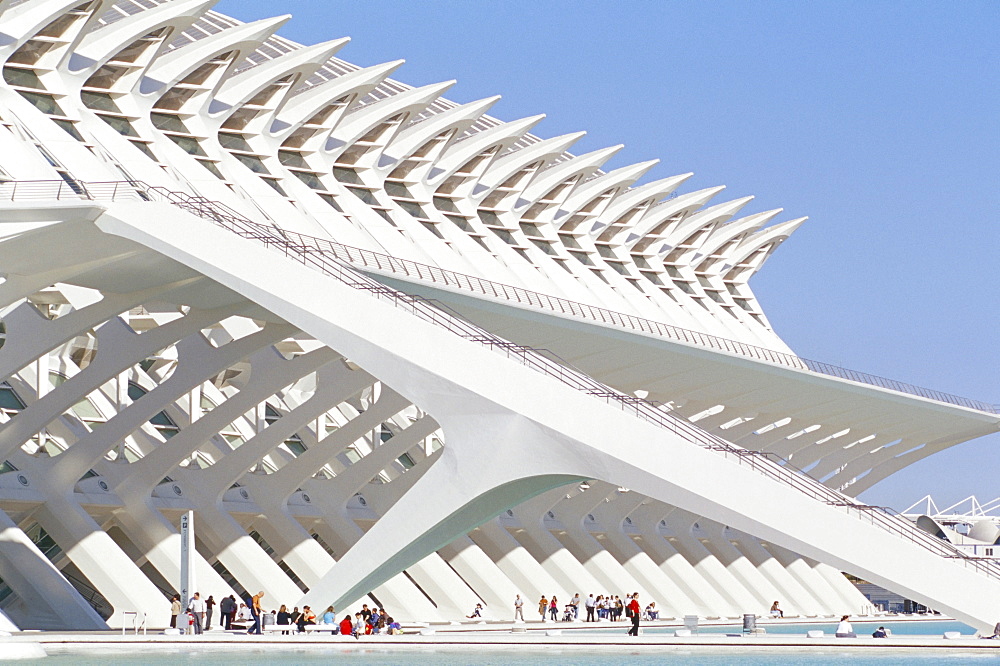 Principe Felipe museum of Science, City of Arts and Sciences (Ciudad de las Artes y las Ciencias), architect Santiago Calatrava, Valencia, Spain, Europe