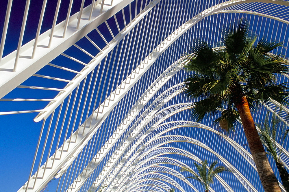 Umbracle, City of Arts and Sciences (Ciudad de las Artes y las Ciencias), architect Santiago Calatrava, Valencia, Spain, Europe