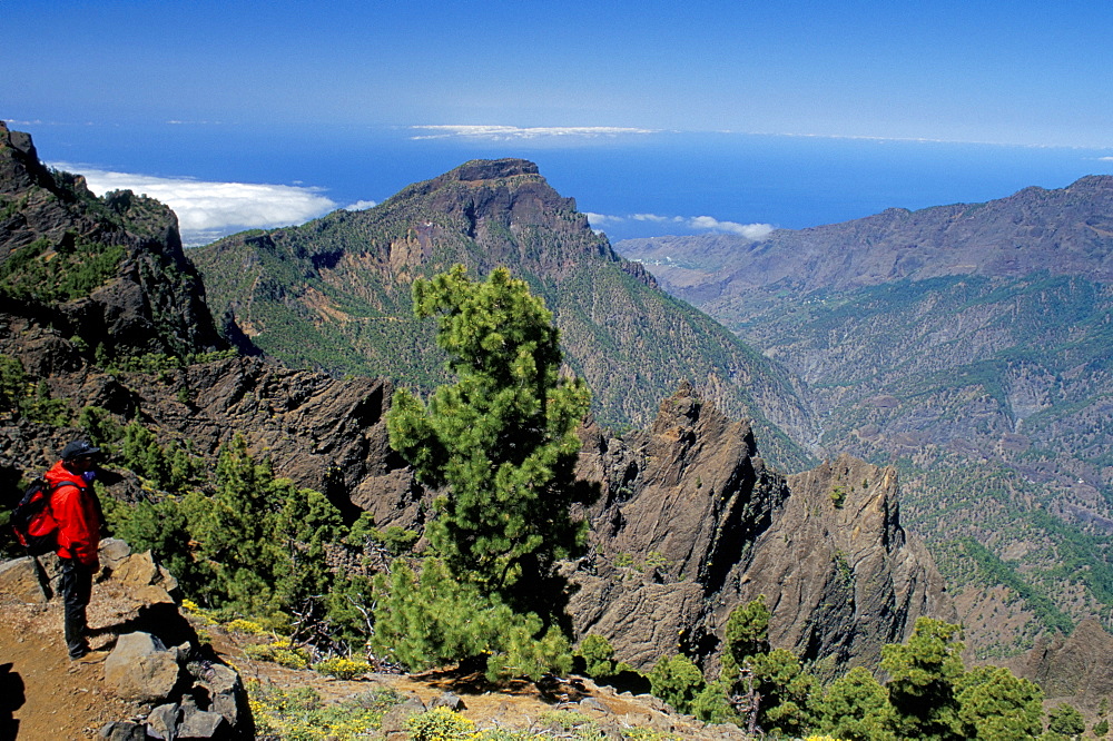 Trekker looking at surrounding landscape, Parque Nacional de la Caldera de Taburiente, La Palma, Canary Islands, Spain, Atlantic, Europe