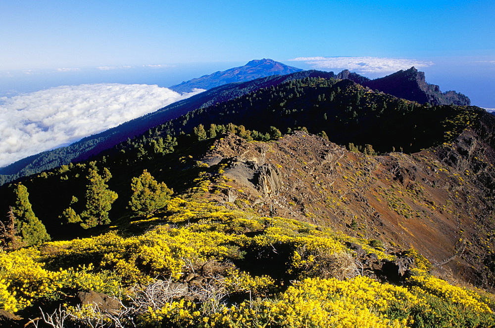 View of Parque Nacional de la Caldera de Taburiente from Pico de las Nieves, La Palma, Canary Islands, Spain, Atlantic, Europe