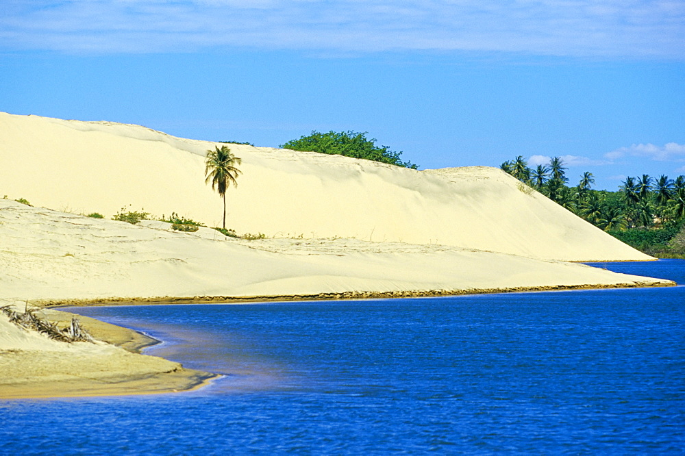 Palm trees, sand dunes and a lagoon near the Ceara coastline, near Canoa Quedrada, Ceara', Brazil, South America