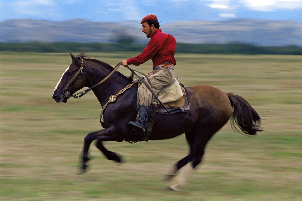 A gaucho riding his horse, Torres del Paine National Park, Patagonia, Chile, South America