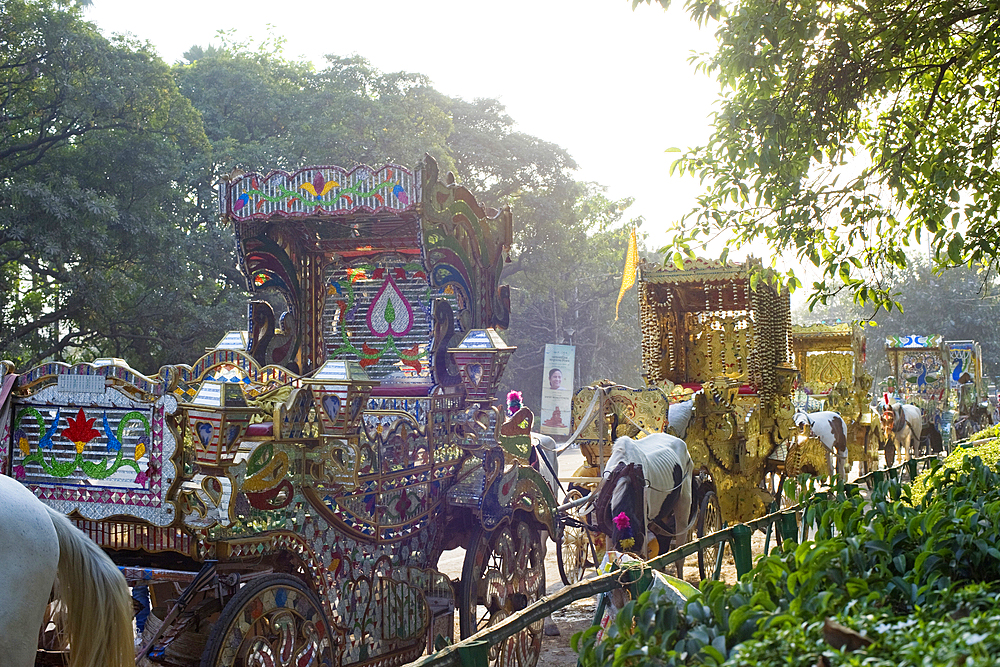 Highly adorned horse-drawn carriages parked alongside the Garer Maath park waitng for customers, Kolkata (Calcutta), West Bengal, India, Asia