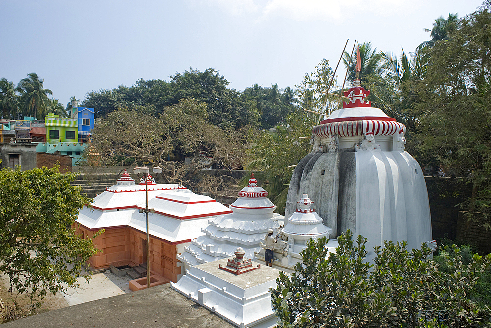 A temple being repainted in Puri, the oldest of India's four holiest Hindu religious centres, Puri, State of Odisha, India, Asia