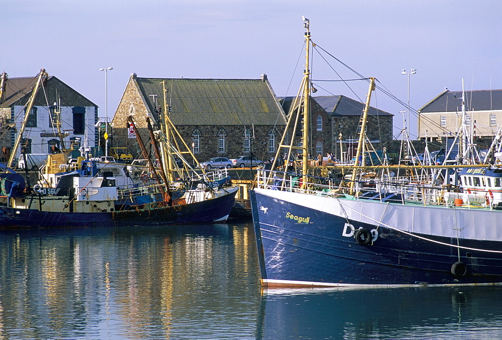 Fishing port of Howth, north of Dublin Bay, County Dublin, Eire (Ireland), Europe