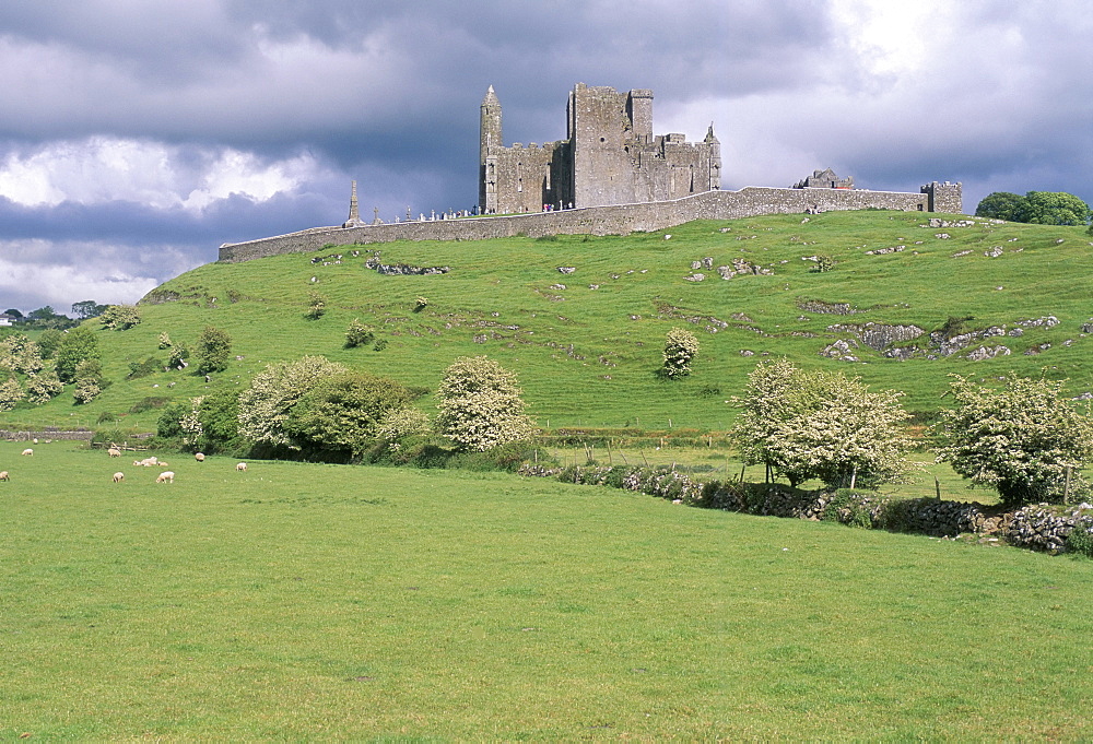 Rock of Cashel, Cashel, County Tipperary, Munster, Eire (Ireland), Europe