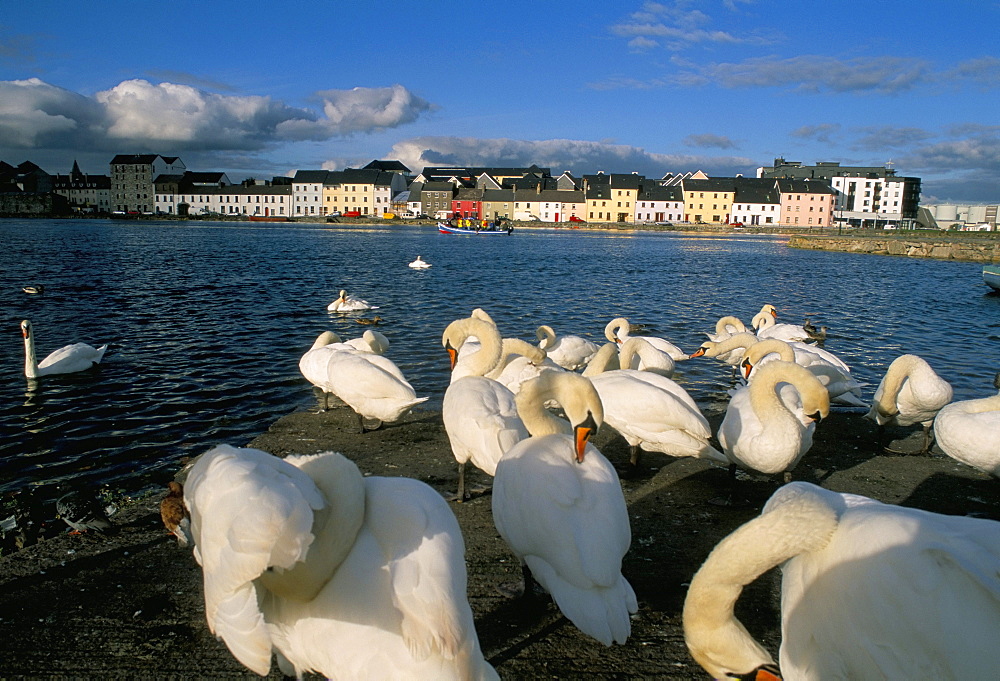 Long Walk view from Claddagh Quay, Galway town, County Galway, Connacht, Eire (Ireland), Europe