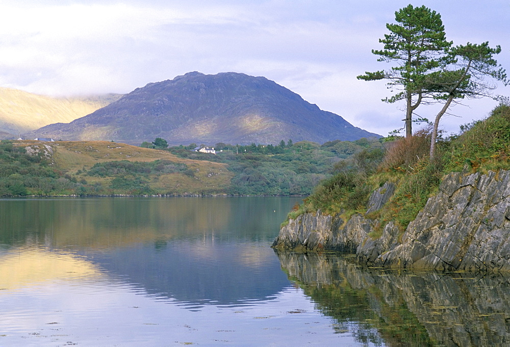 Clew Bay peninsula, Wesport area, County Mayo, Connacht, Eire (Ireland), Europe