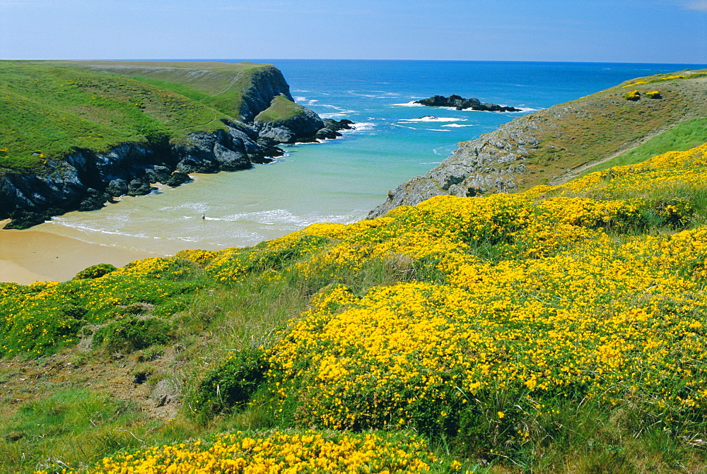 Cote de Port Kerledan, Belle-Ile-en-Mer, Breton Islands, Morbihan, Brittany, France