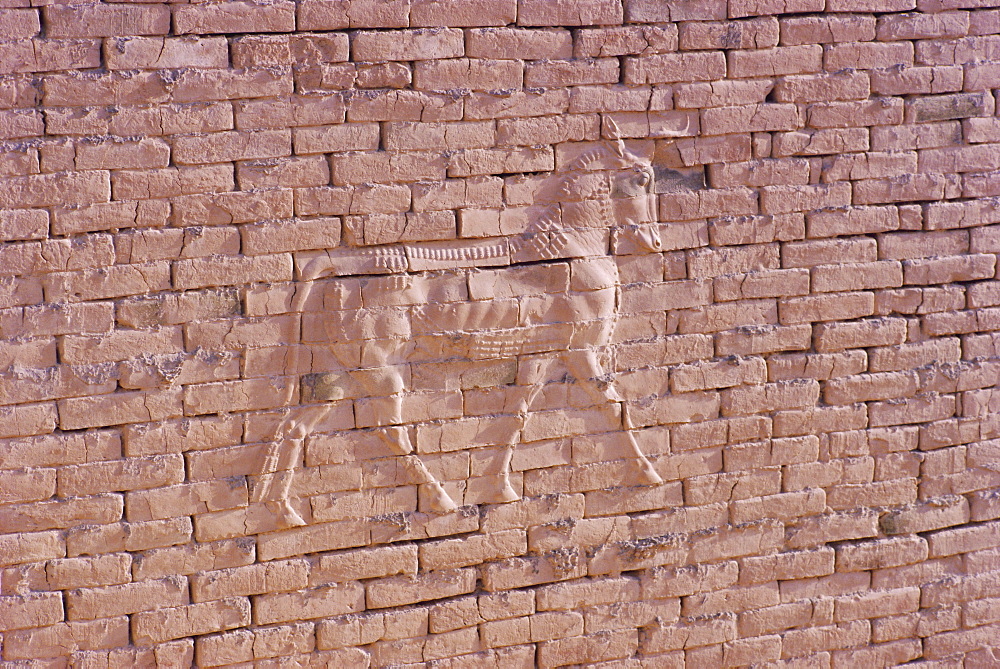 Lion brick relief, Nebuchadnezzar's Palace, Babylon, Iraq, Middle East