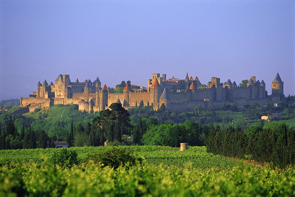 The medieval city of Carcassonne, Aude, Languedoc-Roussillon, France, Europe