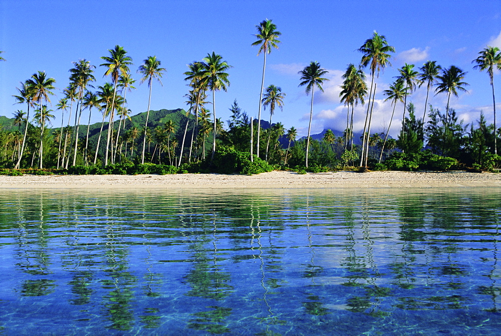 East coast, Motu Nao Nao, Raiatea Island, Society Islands archipelago, French Polynesia, South Pacific, Pacific