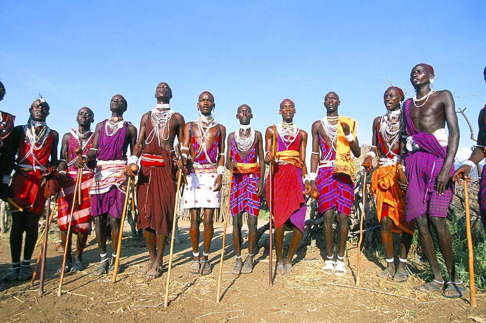 Alamal, ritual festival, Maasai village (manyatta), Rift Valley, southeast Kenya, East Africa, Africa