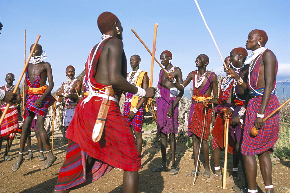 Alamal, ritual festival, Maasai village (manyatta), Rift Valley, southeast Kenya, East Africa, Africa