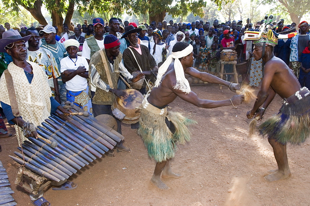 Senoufo masked dancer and musicians at festivities, Loulouni Village, Sikasso area, Mali, Africa