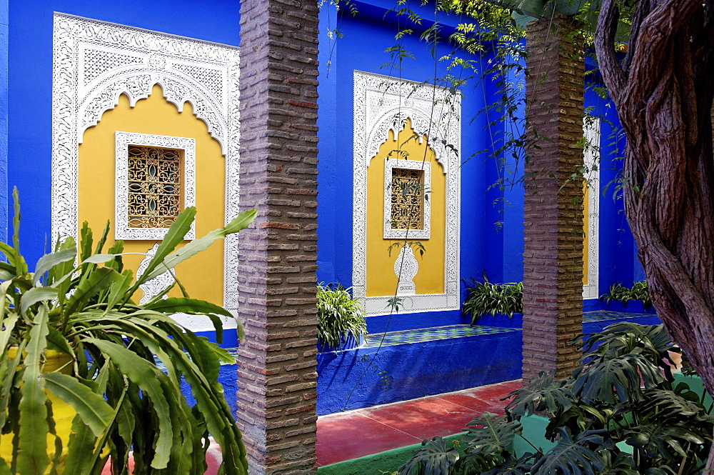 The Majorelle Garden, created by the French cabinetmaker Louis Majorelle, and restored by the couturier Yves Saint-Laurent, Marrakesh, Morocco, North Africa, Africa