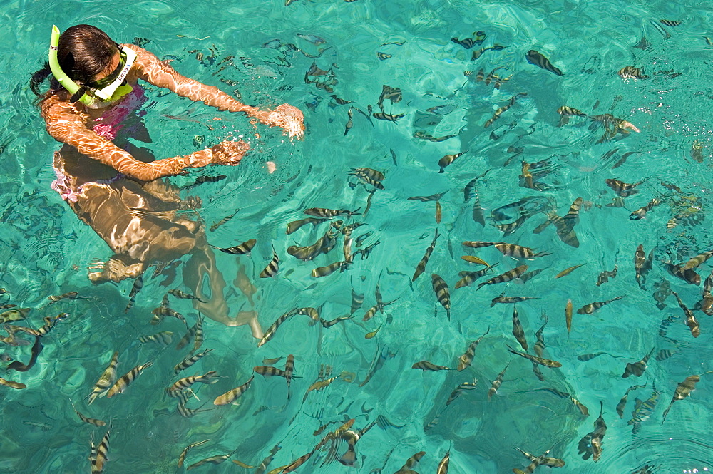 Pandanon Island, Nalusuan Marine Sanctuary, Cebu island, The Philippines, Southeast Asia, Asia