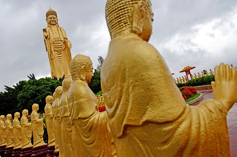 The Great Buddha Land has an Amitabha Buddha statue standing 120 feet tall surrounded by 480 small statues of Amitabha Buddha, Fokuangshan monastery, Kaohsiung area, Taiwan, Republic of China, Asia