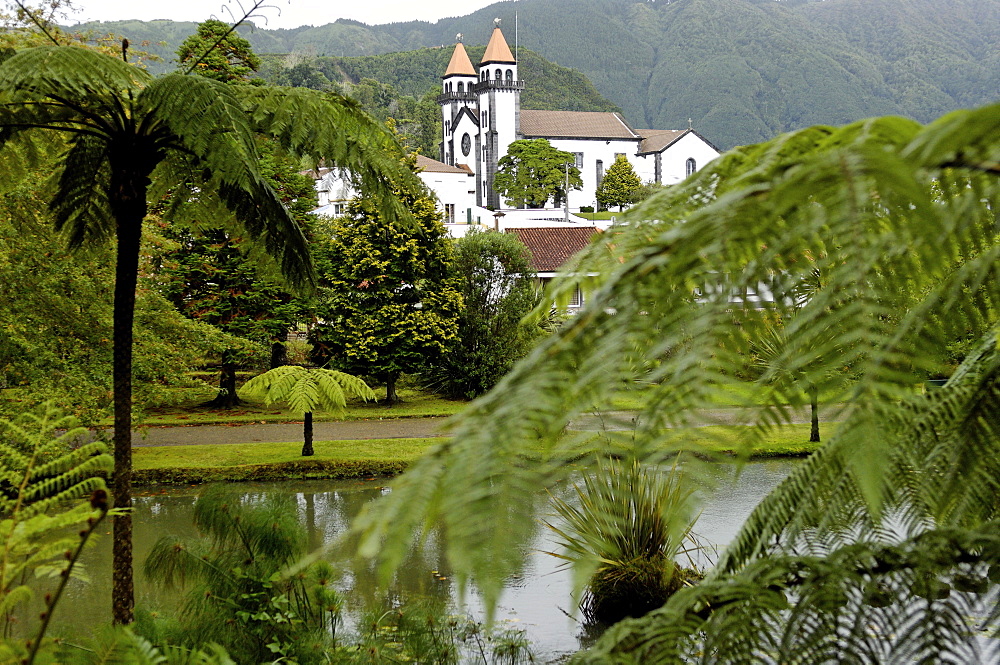 Terra Nostra Garden, Furnas, Sao Miguel Island, Azores, Portugal, Europe