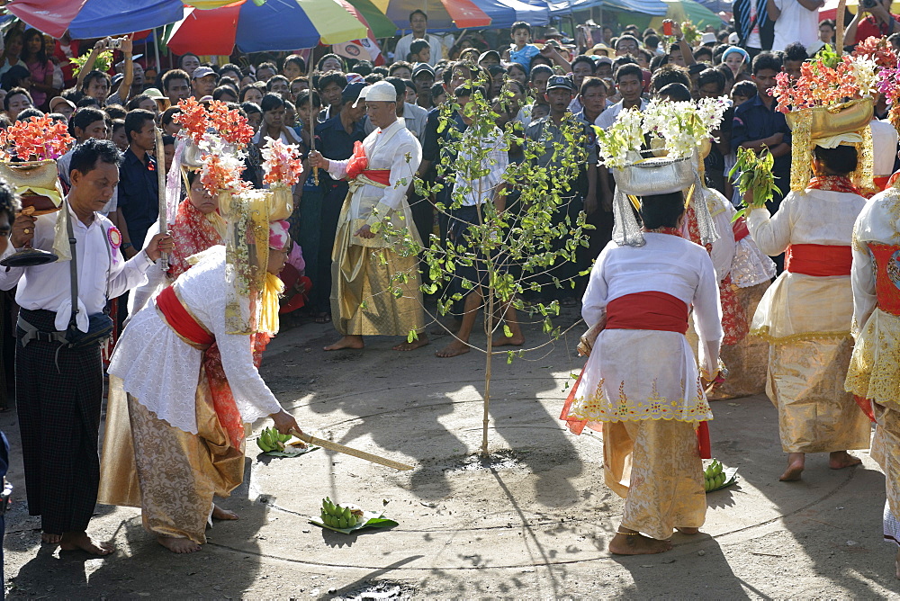 Felling trees ceremony (htein pin) at the biggest Nat ritual (Festival of Spirits) in Taungbyon, Mandalay Division, Republic of the Union of Myanmar (Burma), Asia 