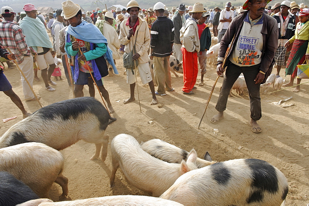 Friday market in the Betsileo country, around Fianarantsoa, Madagascar, Africa 